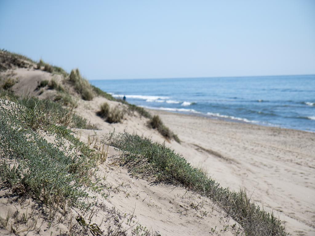 Wood House Close Beach Marbella Dış mekan fotoğraf